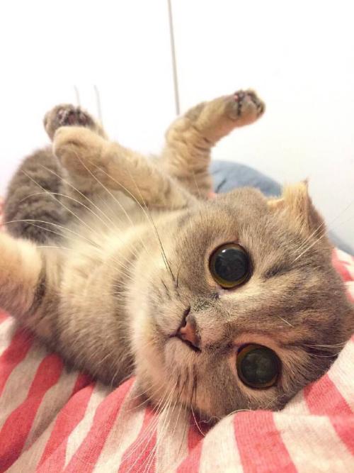 Сѧʱż ׶԰Ԫʱͣ԰