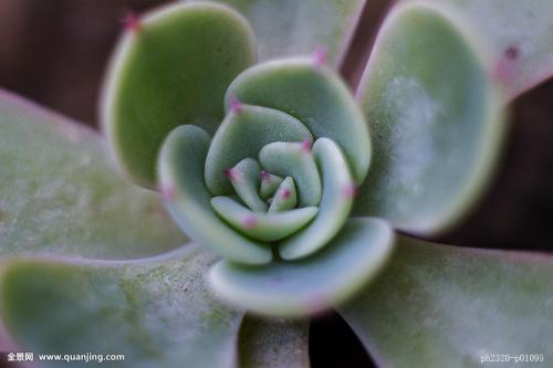 70¹ڷȷﲡ ۼƱ8610