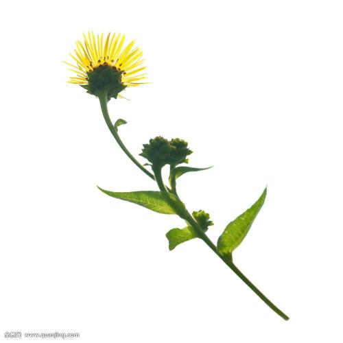 ܹģ2000ԪйҵĻ仧Ϻ